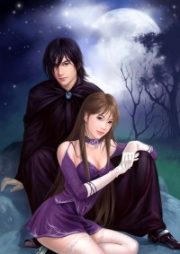 龍門狂婿
