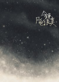 今晚月色很美